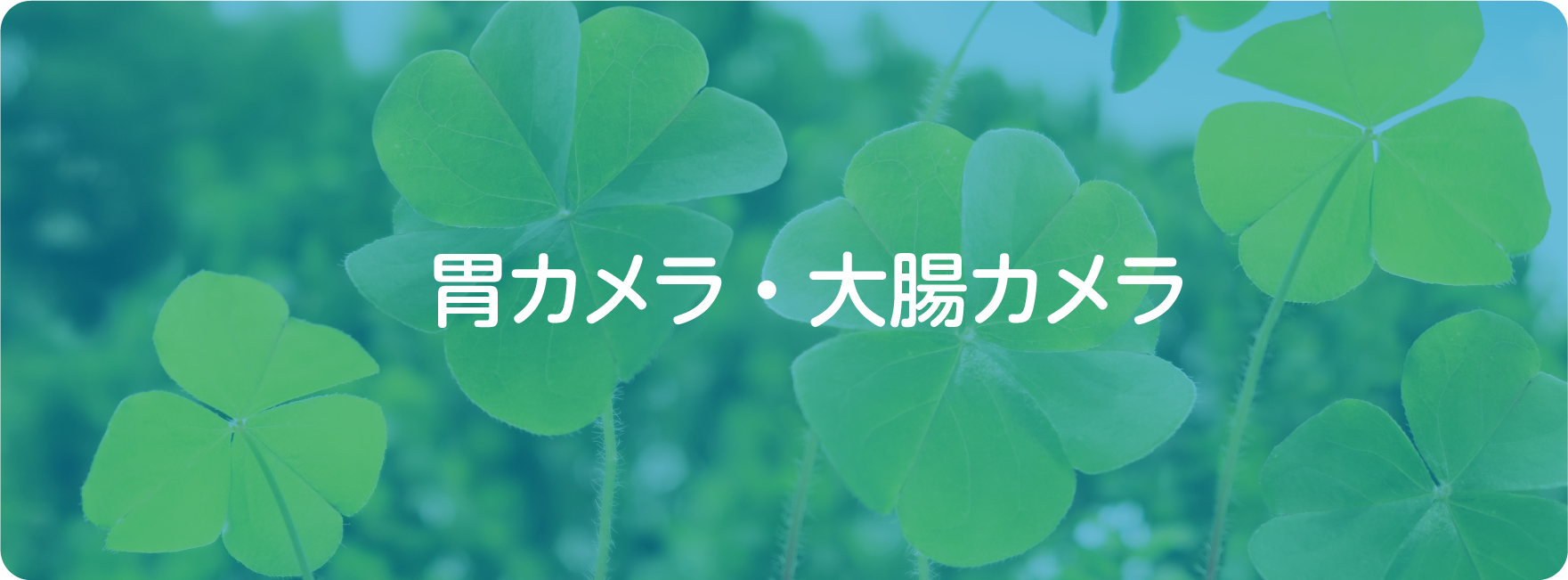 胃カメラ・大腸カメラ